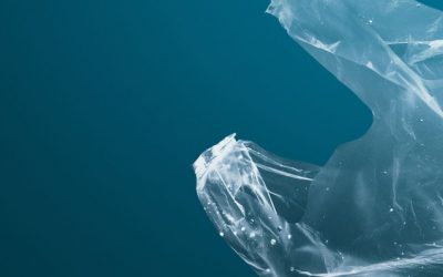 ¿Cuál es la mejor alternativa para reemplazar las bolsas plásticas de un solo uso?